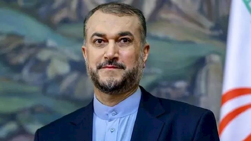 Iranpress: FM praises return of Iranian Navy’s 86th flotilla