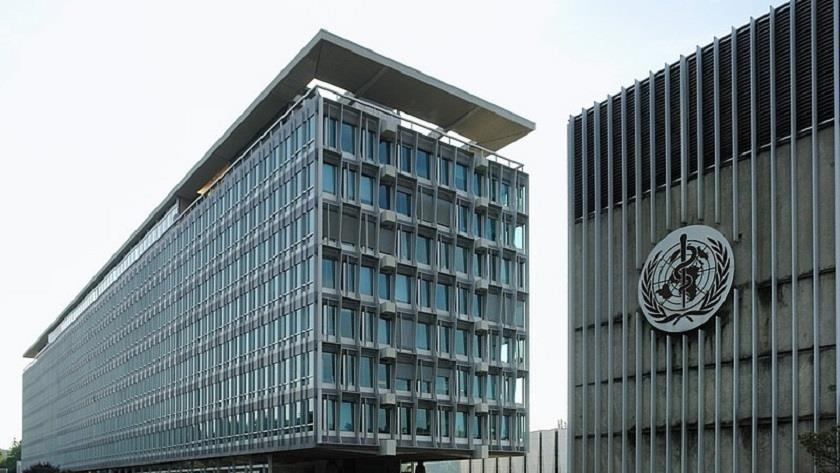 Iranpress: WHO adopts resolution decrying health conditions in Occupied Palestine
