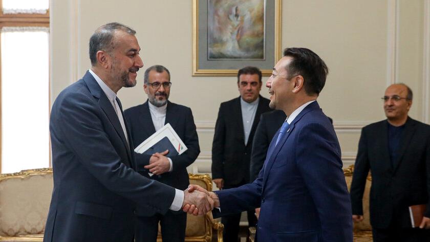 Iranpress: FM receives UAE Minister of State, head of CICA