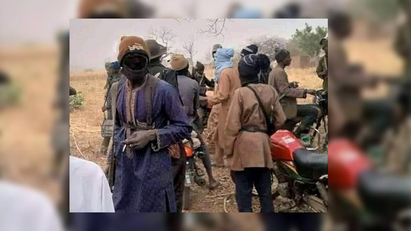 Iranpress: 30 killed in armed attacks on Nigerian villages