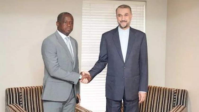 Iranpress: Foreign ministers of Iran, Gabon emphasize on expansion of ties