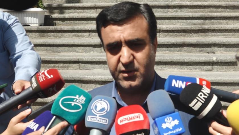 Iranpress: Head of DoE says Iranian cheetah cubs observed