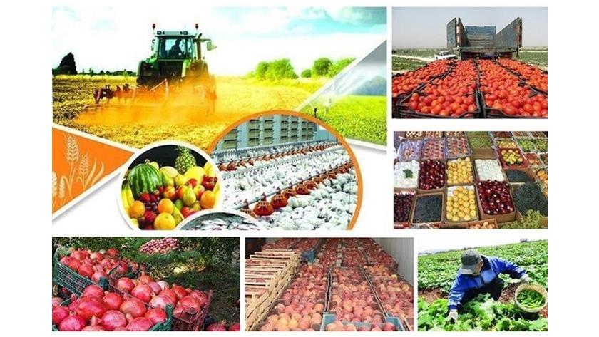 Iranpress: FAO: Iran top dairy exporter in Asia