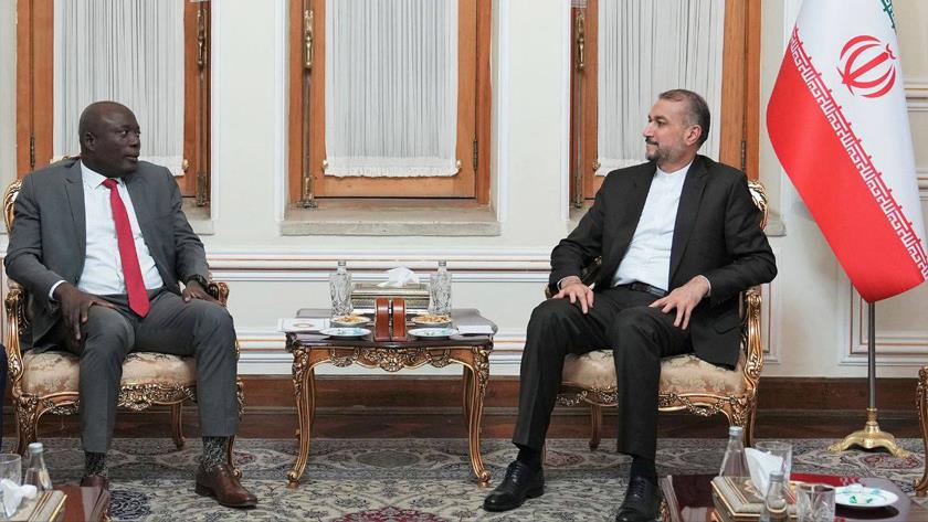 Iranpress: Strengthening of relations with African countries on agenda: Iranian FM