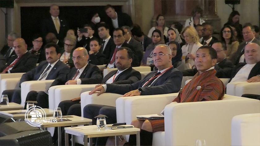 Iranpress: Investment by OPEC fund increases resistance of countries 