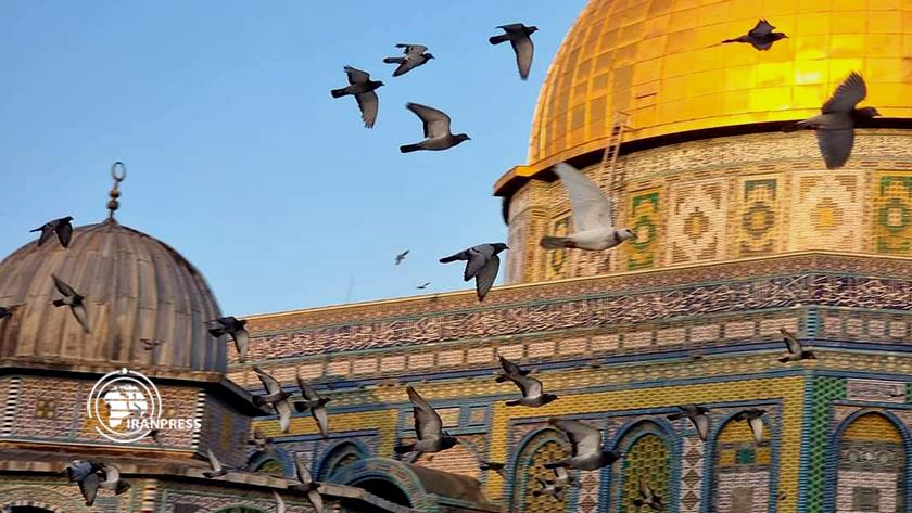Iranpress: Thousands of worshippers perform Eid Al-Adha prayer at Al-Aqsa Mosque
