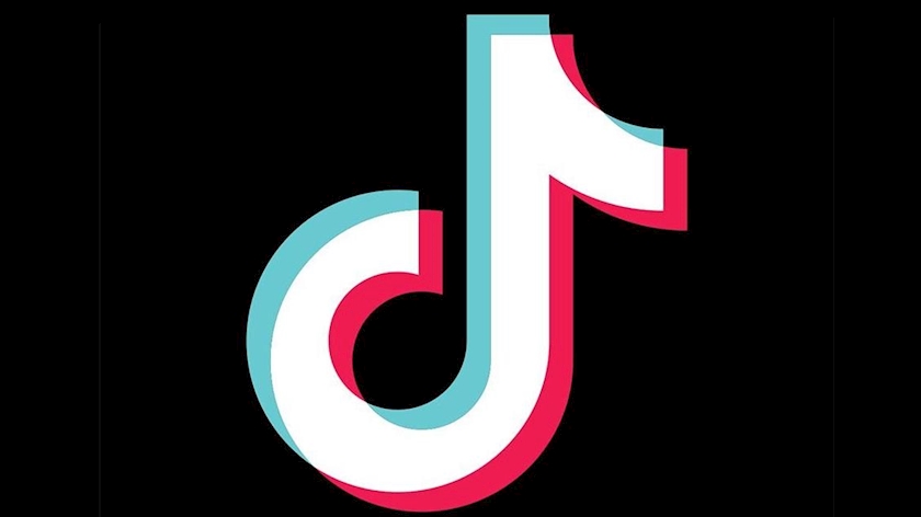 Iranpress: Tehran Chamber of Commerce to host Tik Tok