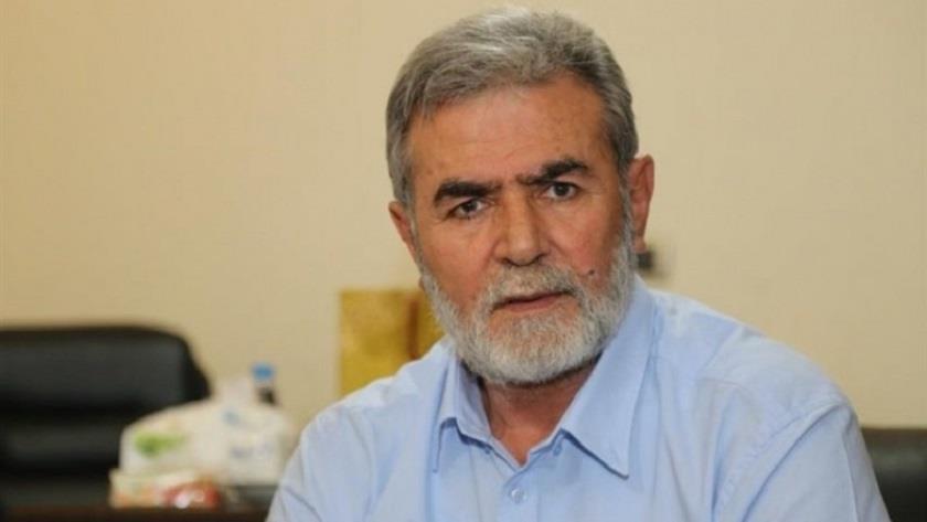 Iranpress: Al-Nakhlah: Balance shifts in favor of resistance movement in Palestine