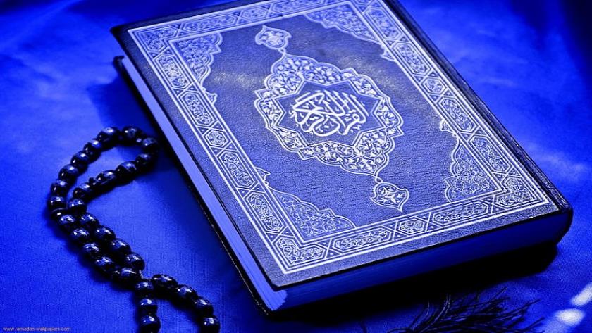 Iranpress: Islamic world unified against Swedish government