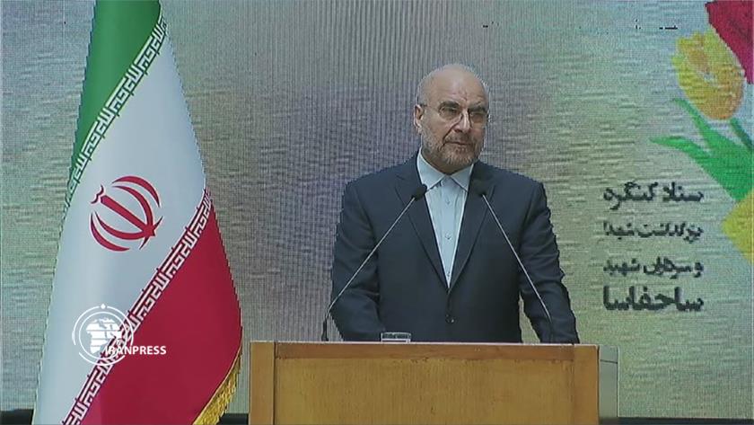 Iranpress: IRGC people-oriented entity: Parl. Speaker