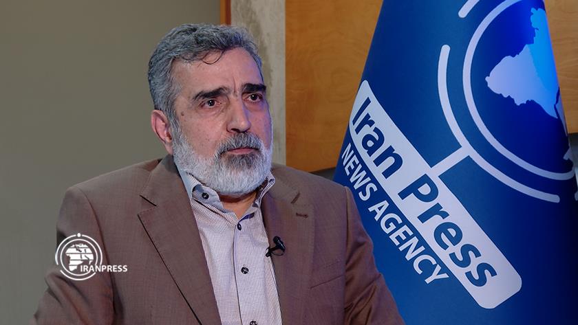 Iranpress: AEOI Spox: Enemy puts obstacles to hinder Iran