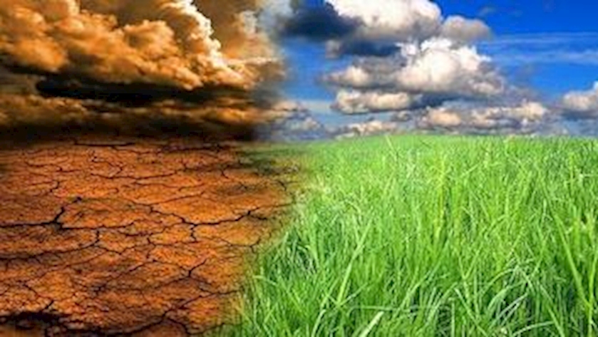 Iranpress:  Iranian woman wins award for diligent women in climate change 