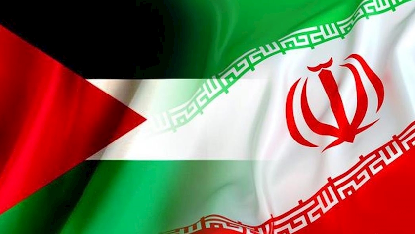 Iranpress: Iran-Palestine Parliamentary Friendship Group calls for continuation of Resistance