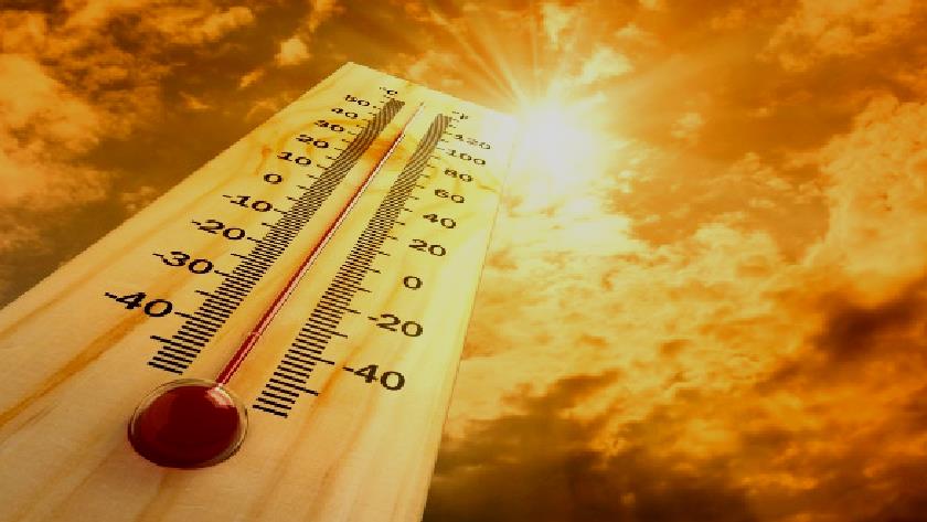 Iranpress: Extreme heat sparks wildfires across world