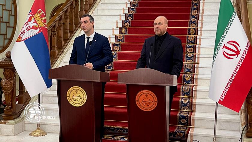 Iranpress: Parliamentary cooperation, very effective in facilitating relations