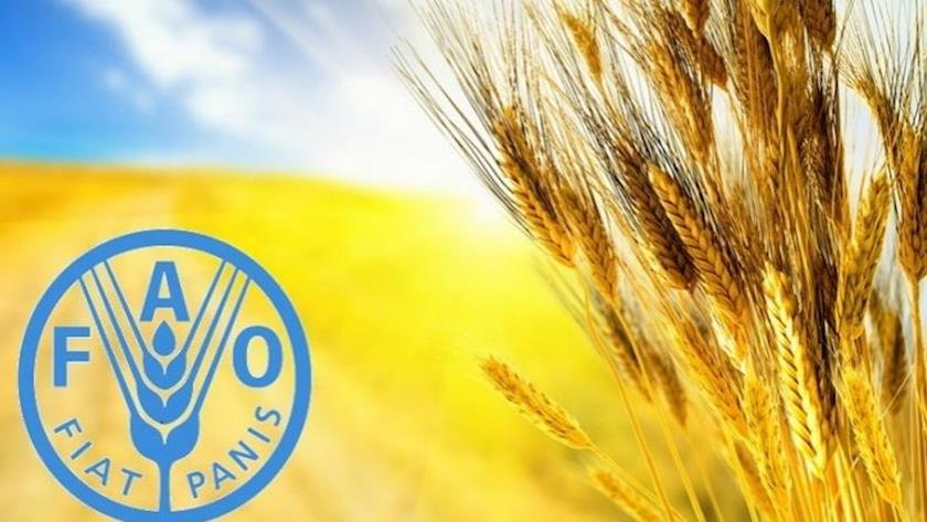 Iranpress: Iran, FAO agree to continue co-op