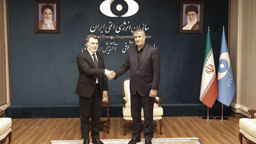 Iranpress: Iran ready to export radiopharmaceuticals, its nuclear experiments to Türkiye