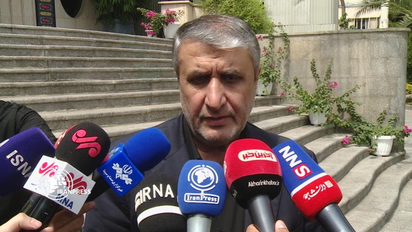 Iranpress: New road map for localizing plants on agenda: AEOI Head