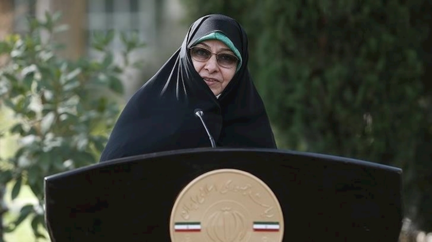 Iranpress: Iran examining law to prosecute non-Iranian desecrators: VP