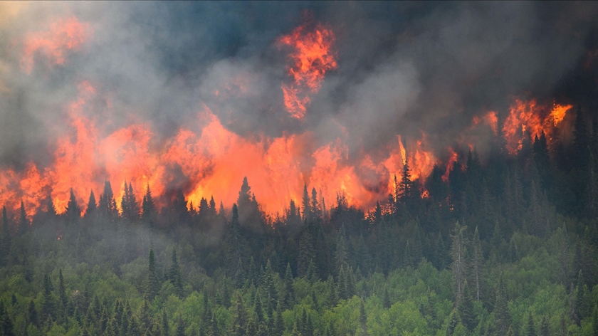 Iranpress: Wildfires kill over 40 as heatwave continues in three continents