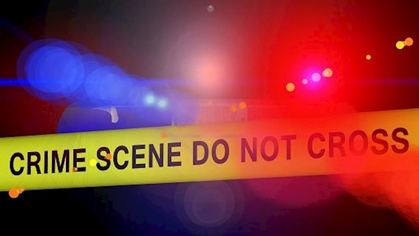 Iranpress: US Indiana shooting leaves 1 dead, 23 injured