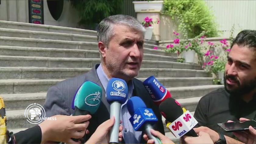 Iranpress: Nuclear power accounts for 20,000 megawatts of Iran