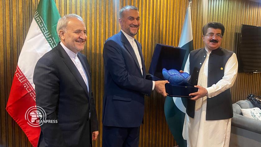 Iranpress: FM meets Pakistan Senate Speaker