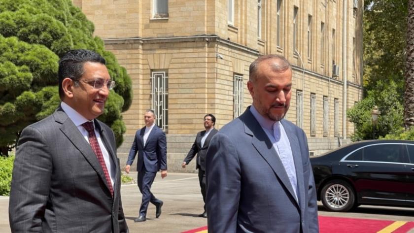 Iranpress: Iran FM officially welcomes his Sri Lankan counterpart 