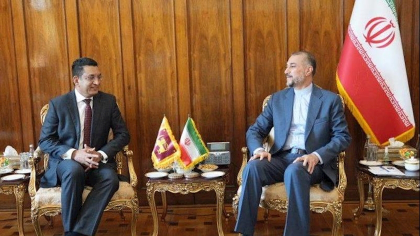 Iranpress: Iran, Sri Lanka FMs meet, confer on topics of mutual interests 