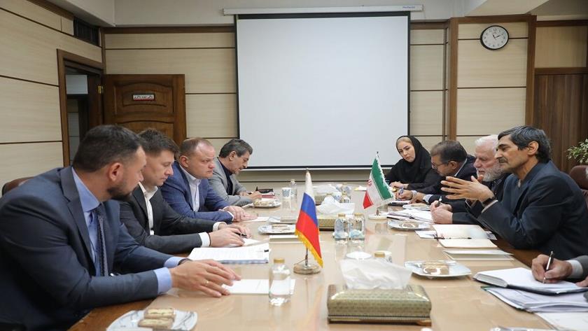 Iranpress: Russia wants cooperation with Iran in manufacturing of airplanes