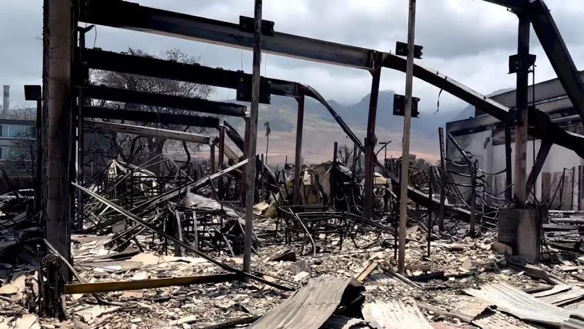 Iranpress: Hawaii wildfire death toll hits 67