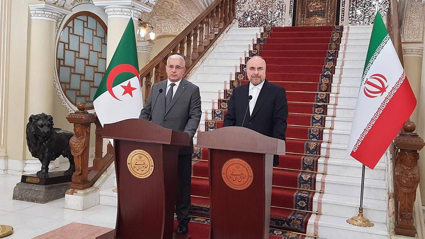 Iranpress: Iran, Algeria Parl. Speakers hold joint presser