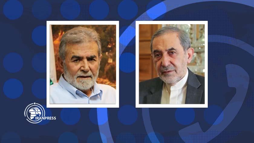 Iranpress: Leader