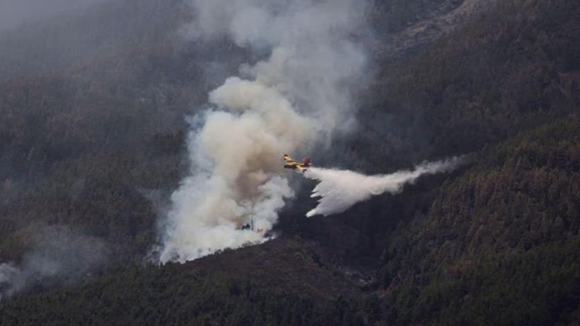 Iranpress: Thousands of evacuees return home as Tenerife wildfire eases