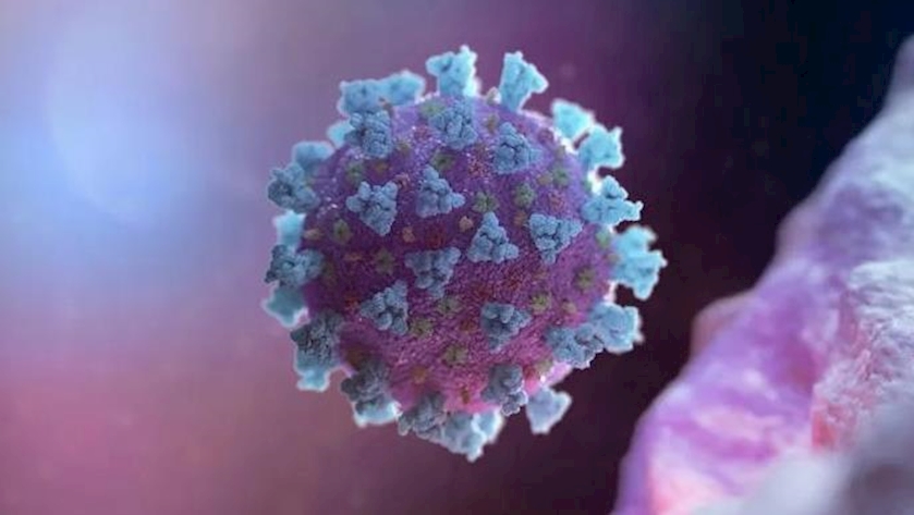 Iranpress: New COVID lineage can cause infections in vaccinated individuals