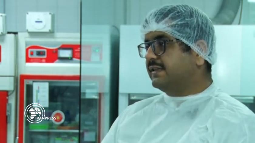 Iranpress: Iran is one of the main producers of biotechnology medicines in Asia