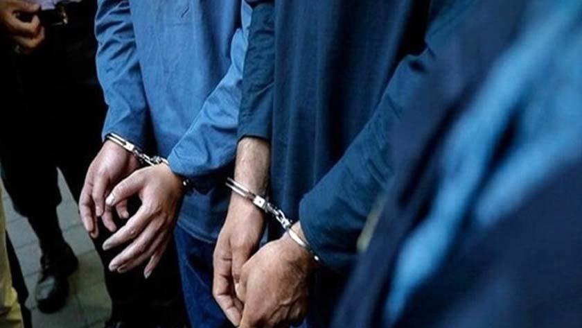 Iranpress: Members of Monarchist out fit arrested in Southeastern Iran