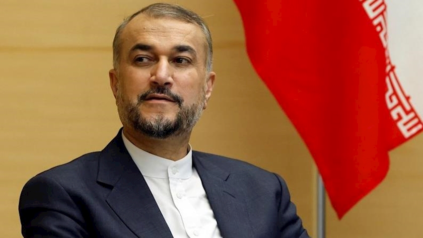 Iranpress: Iran to continue supporting Palestine: FM