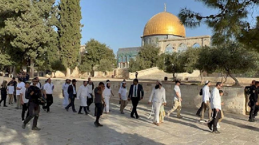 Iranpress: Israeli settlers invade Al-Aqsa Mosque early Monday 