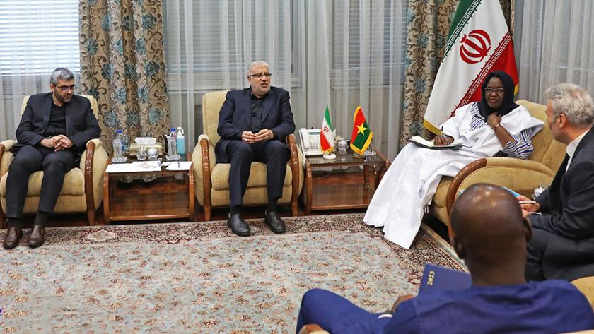 Iranpress: Oil minister voices Iran