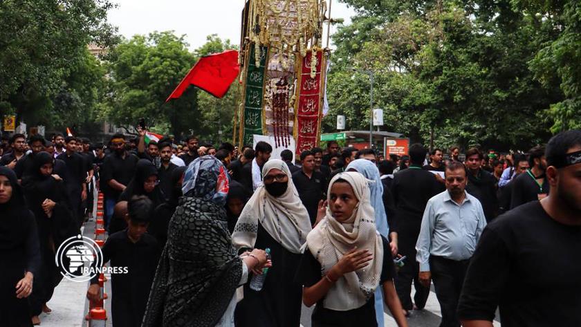 Iranpress: Magnificent presence of Indian Shiites in Arbaeen procession