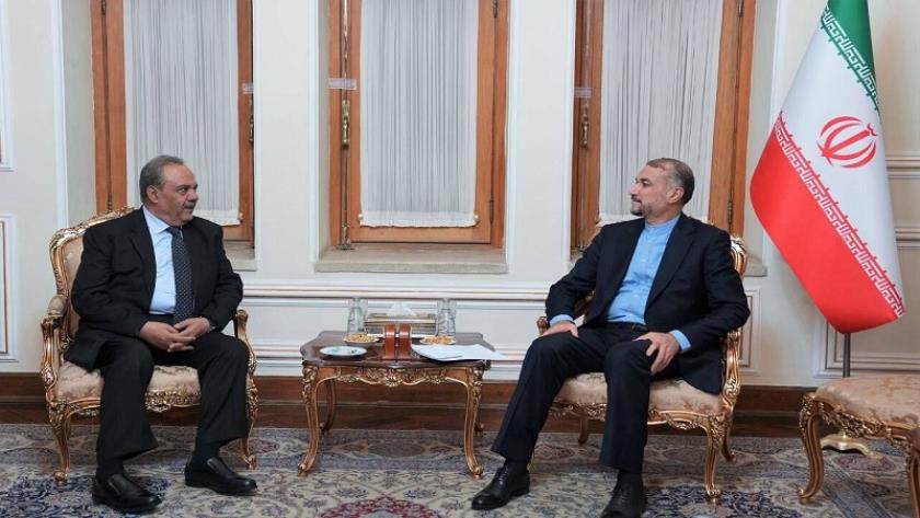 Iranpress: Iranian FM receives Pakistan