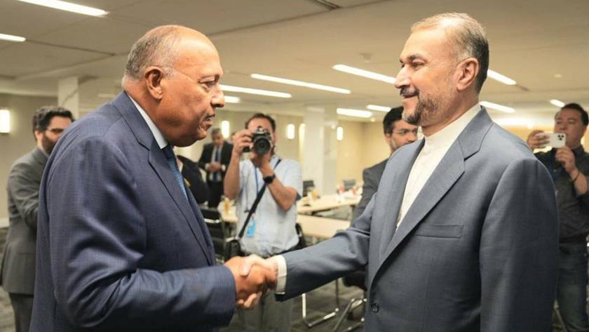 Iranpress: Amir-Abdollahian urges boosting ties with World