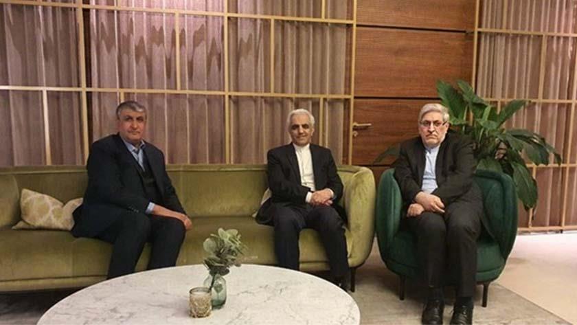 Iranpress: AEOI Head arrives in Austrian Capital
