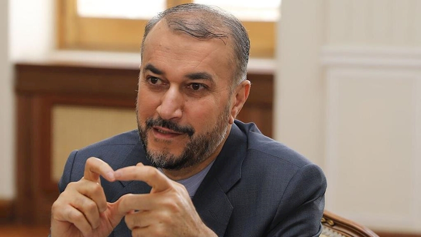 Iranpress: Iran welcomes initiatives aligned with its interests