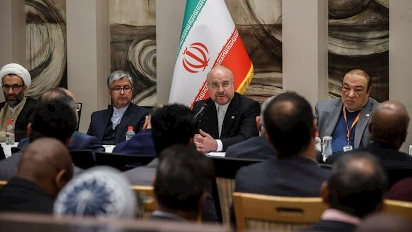 Iranpress:  African countries prime importance for Iran: Parliament Speaker