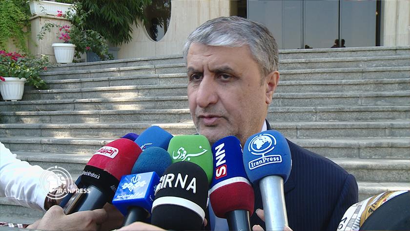 Iranpress: AEOI: Europe seeks ICPOA not JCPOA