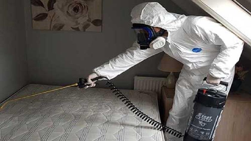 Iranpress: Bedbugs force closure of seven schools in France