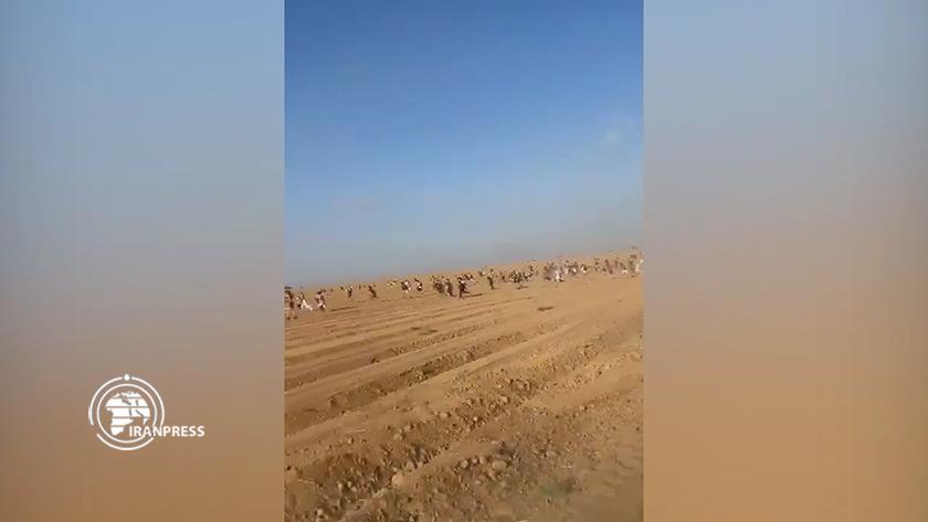 Iranpress: Israeli settlers flee from settlements around Gaza