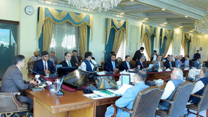 Iranpress: Pakistan emphasizes on supporting Palestine
